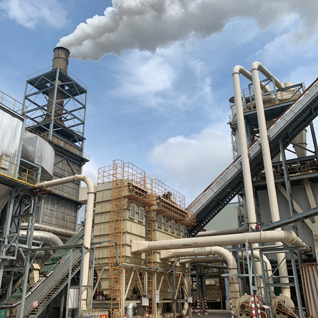 PB/OSB-Produktionslinie (Palmenwedel mit Blättern)